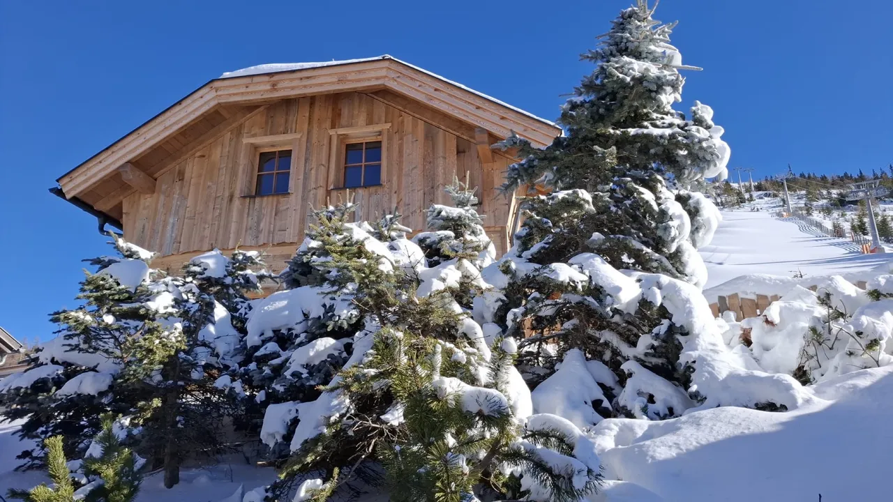 Chalet Panorama hinter verschneiten Fichten, rechts die Piste